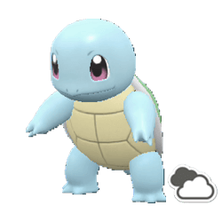#007 Squirtle (Marked)